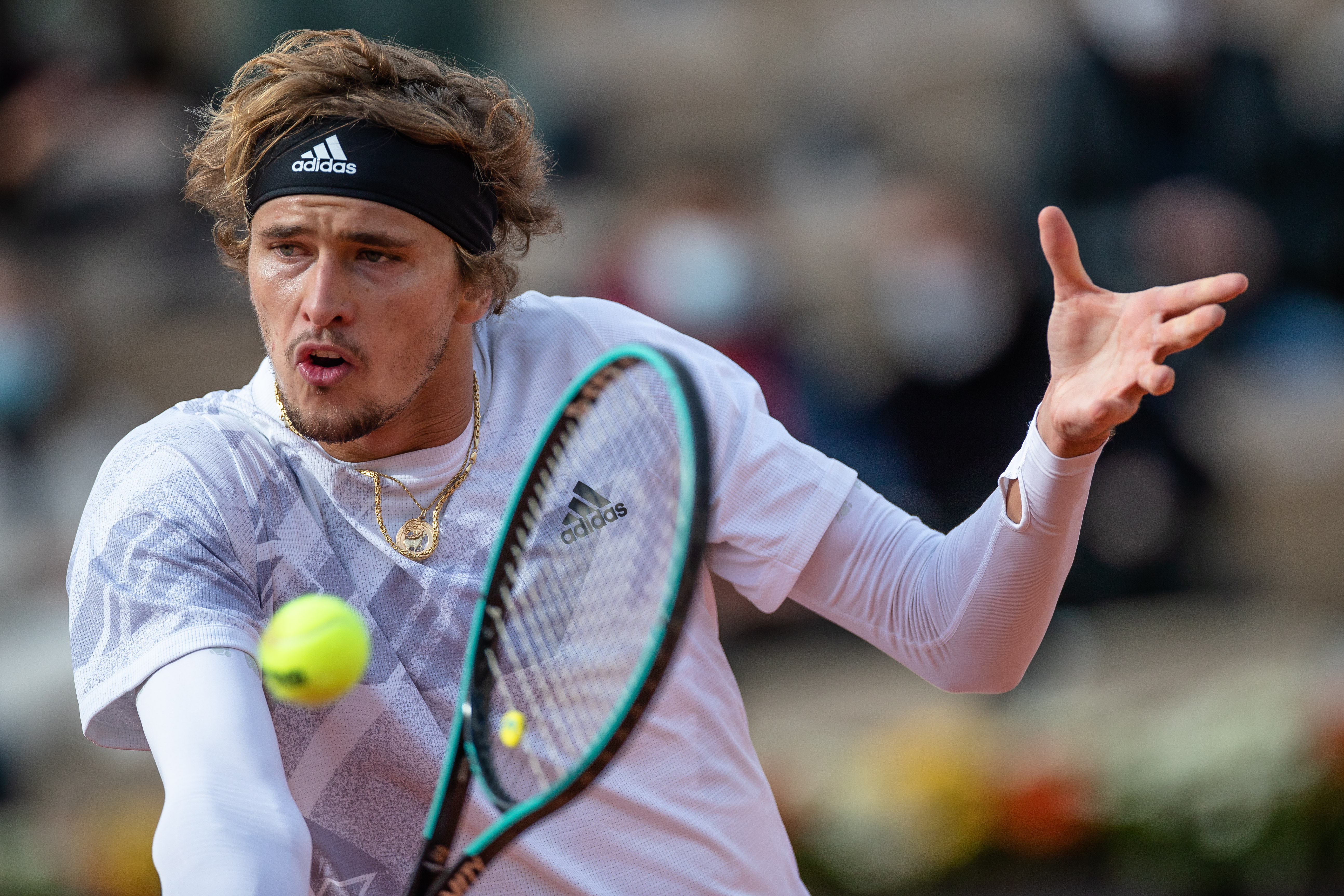 英超动物园 英超动物园