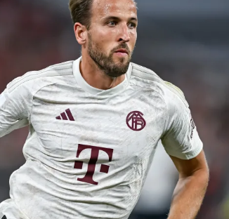 志愿者欢呼 志愿者欢呼