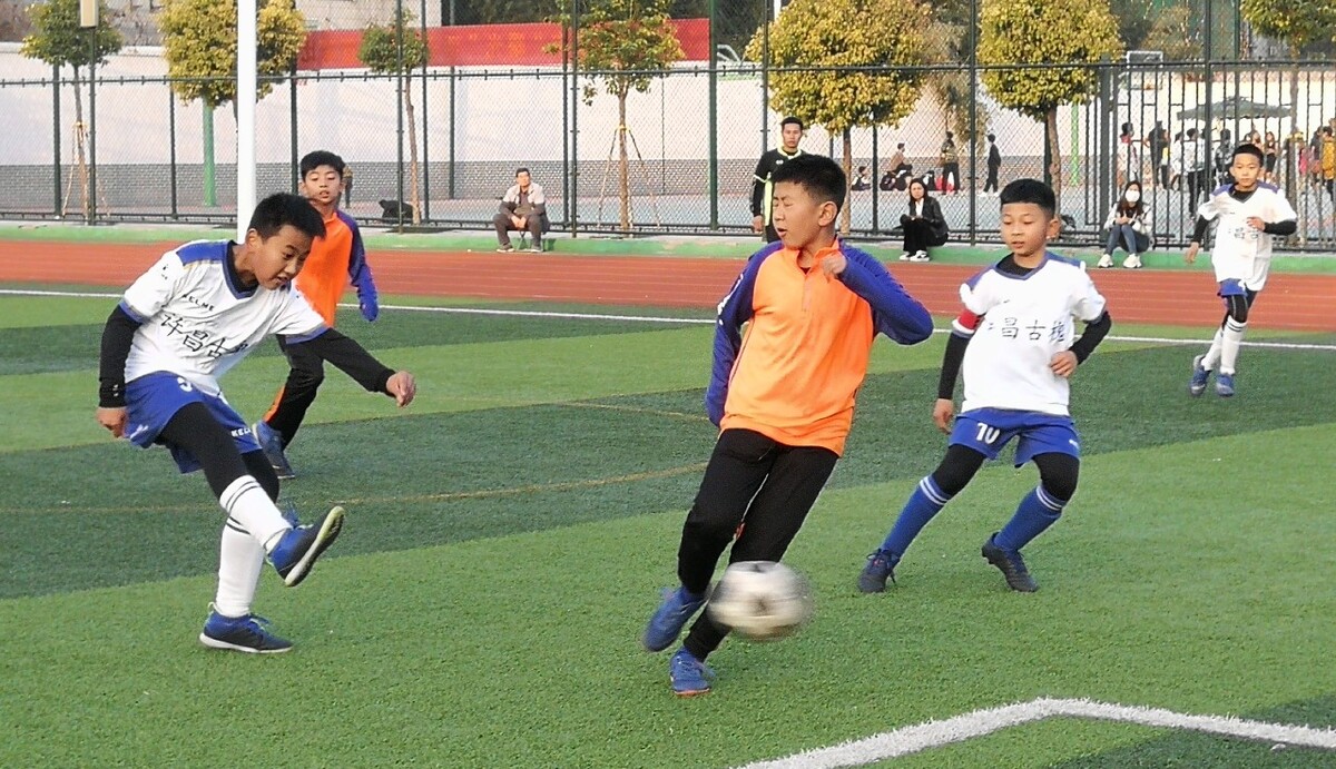 练的指导不 练的指导不