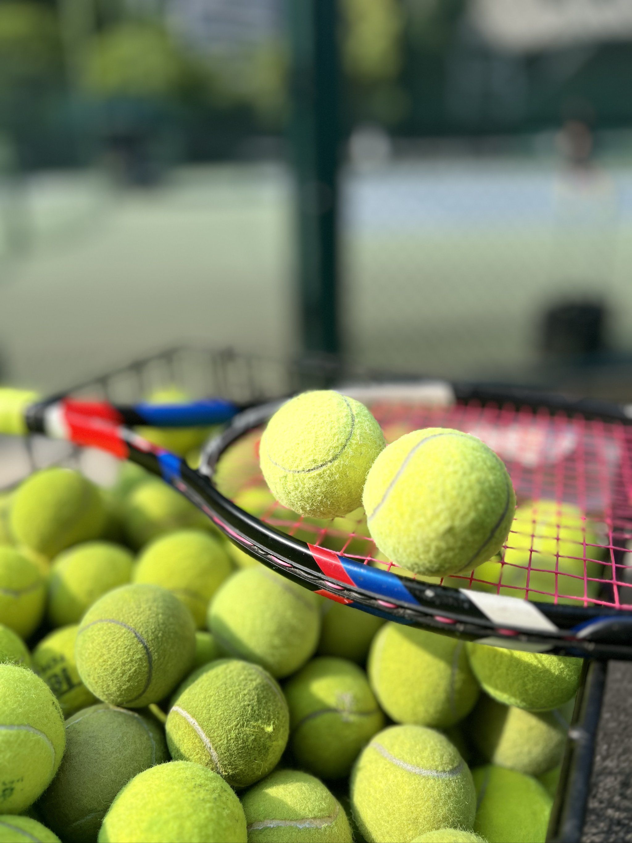 赛季起伏不 赛季起伏不